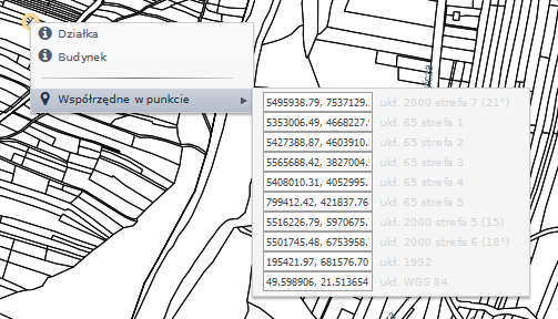 Widok okna z wyświetlonymi współrzędnymi w punkcie wybranym z mapy w różnych układach odniesienia